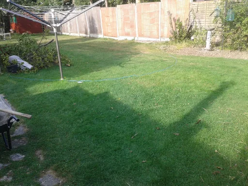 Ace Line Paving Ltd photo 4