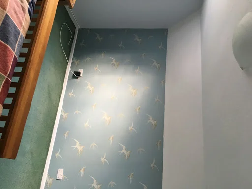 Daniel Gillies Painter &amp; Decorator photo 1