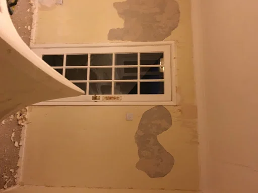 Daniel Gillies Painter &amp; Decorator photo 3