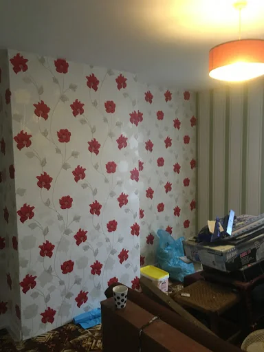 Daniel Gillies Painter &amp; Decorator photo 5