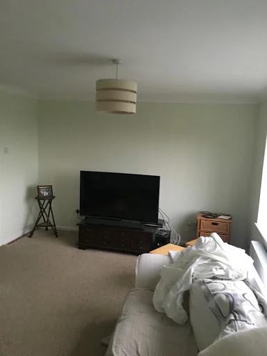 Daniel Gillies Painter &amp; Decorator photo 6