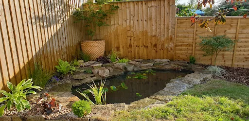 Be Wise Garden Services photo 4