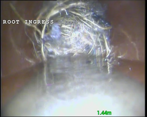 Canford Drains photo 2