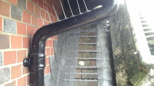 Countryside Pest Control Surrey &amp; Sussex photo 7