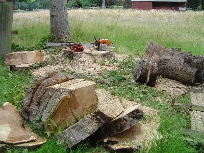 Stump &amp; Grind Ltd photo 3