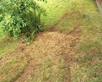 Stump &amp; Grind Ltd photo 7