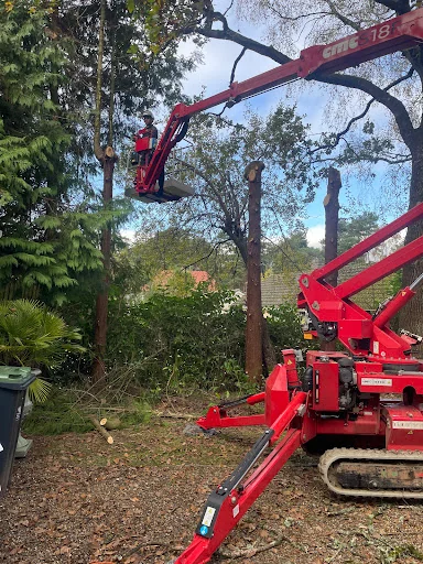 Mark Hooper Tree Care photo 1