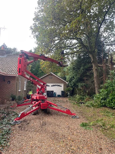 Mark Hooper Tree Care photo 2