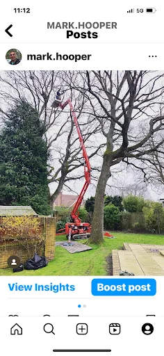 Mark Hooper Tree Care photo 4