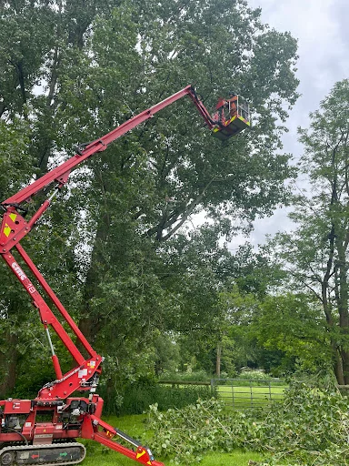 Mark Hooper Tree Care photo 5