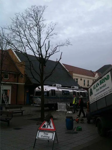 Alan Brind Tree Services photo 1