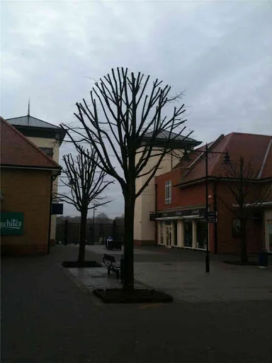 Alan Brind Tree Services photo 2