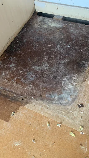 Woodlea Property Services photo 4