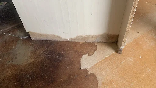 Woodlea Property Services photo 5