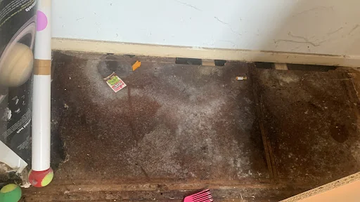 Woodlea Property Services photo 6