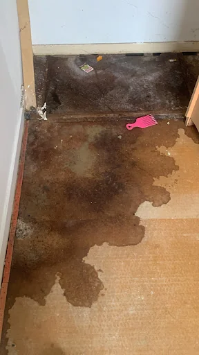 Woodlea Property Services photo 7