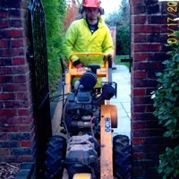 Sycamore Tree Surgeons photo 3