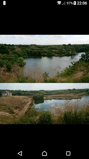 Chelmsford Tree Services photo 3