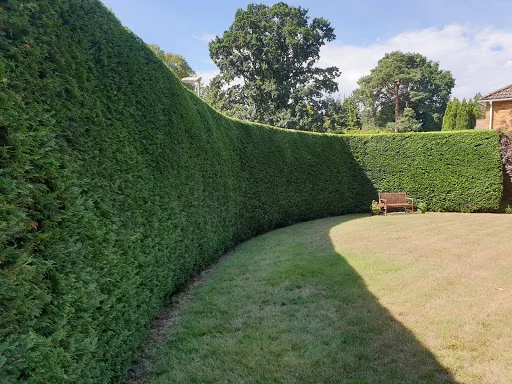 Galahad Garden Services photo 1