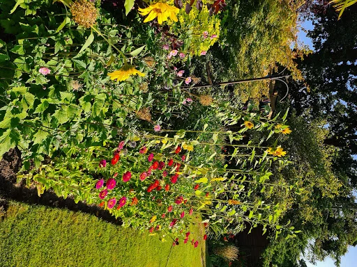 Galahad Garden Services photo 2