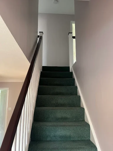 Paul Manns Painting &amp; Decorating photo 4