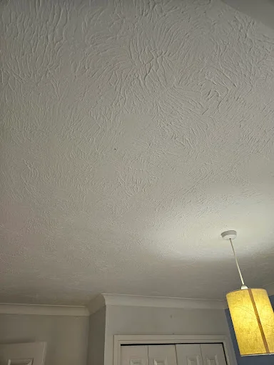 SJF Plastering photo 7