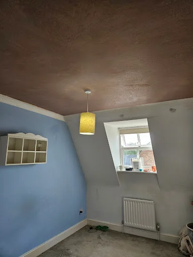 SJF Plastering photo 8