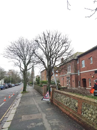 ArbTec Tree Care photo 2