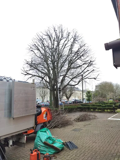 ArbTec Tree Care photo 3