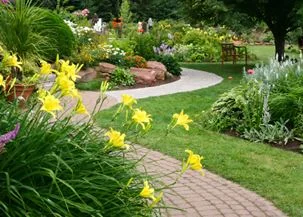 Smart Fencing and Landscaping photo 5