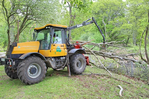 Christopher Hoare Tree Services Ltd photo 6