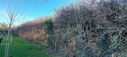 Aviemore Landscapes photo 3