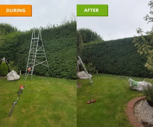 Aviemore Landscapes photo 4