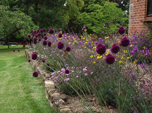 Aviemore Landscapes photo 8