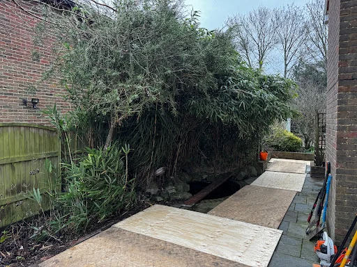 Japanese Knotweed Group Ltd photo 2