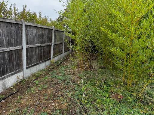 Japanese Knotweed Group Ltd photo 6