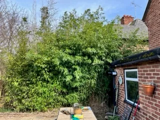 Japanese Knotweed Group Ltd photo 8