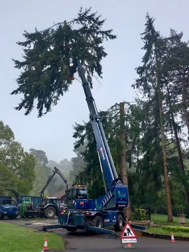 1st Call Trees Ltd photo 1