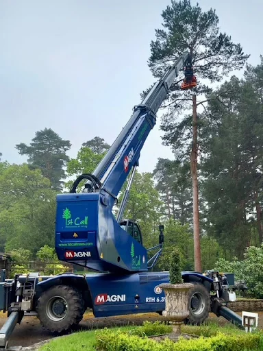 1st Call Trees Ltd photo 2