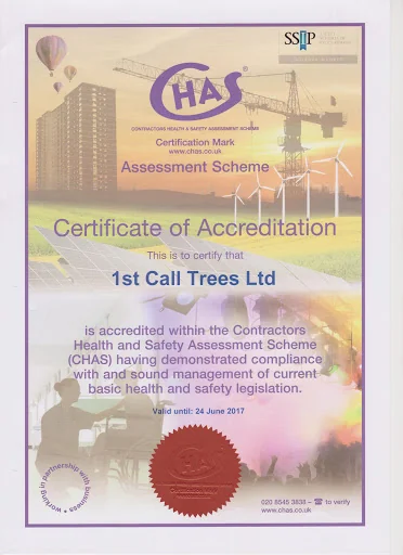 1st Call Trees Ltd photo 5