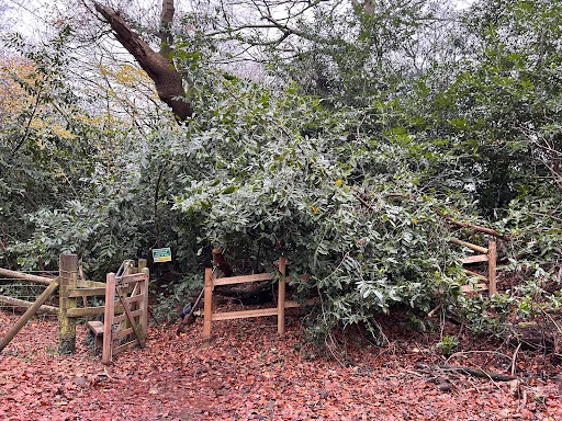 Lazamataz Fencing and Handyman Services photo 2