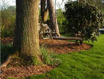 Dixcey Landscapes Limited photo 2