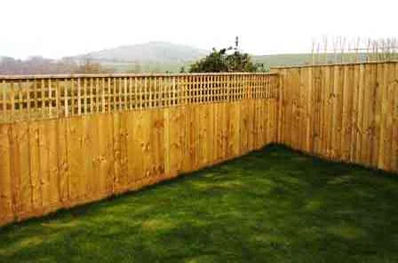 Dixcey Landscapes Limited photo 6