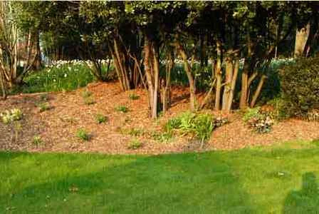 Dixcey Landscapes Limited photo 8