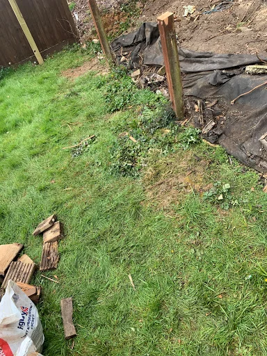 D Young Plastering &amp; Building photo 2