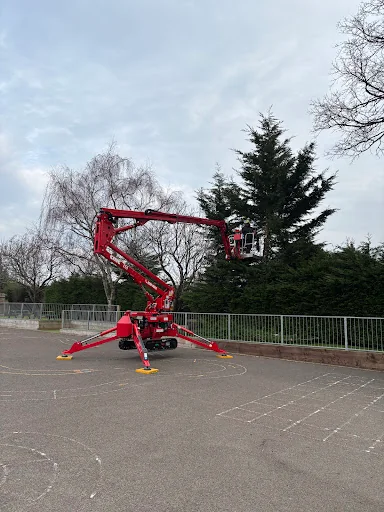 Coppice Tree &amp; Garden Services Limited photo 1