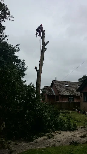 Coppice Tree &amp; Garden Services Limited photo 2