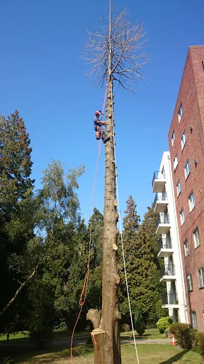 Coppice Tree &amp; Garden Services Limited photo 3