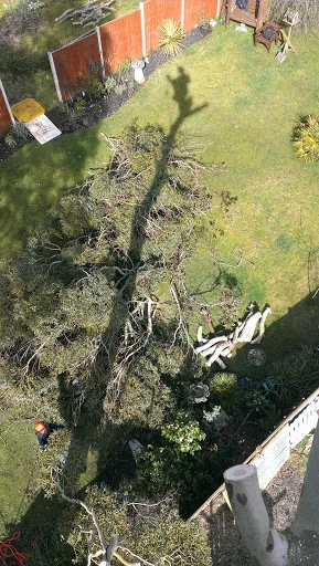 Coppice Tree &amp; Garden Services Limited photo 7