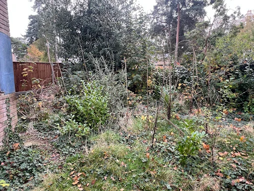 D G Parker Grounds &amp; Garden Maintenance photo 2